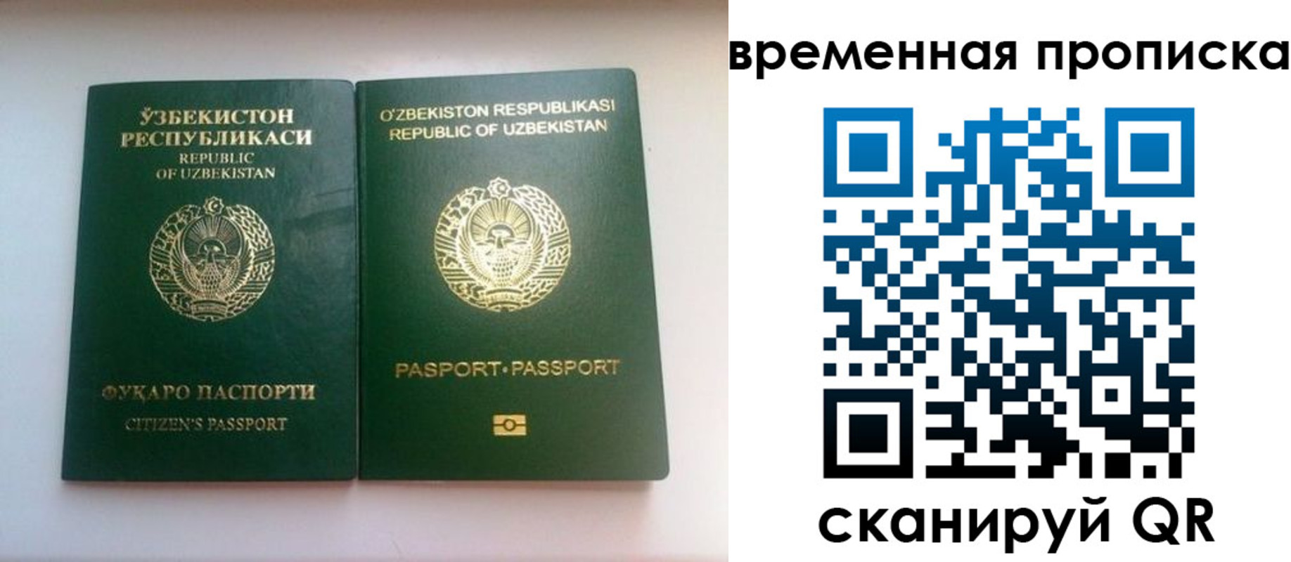 регистрация в Сочи